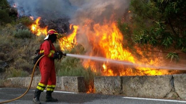 Incendio avila