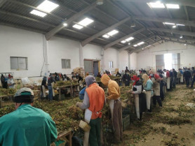 Bef1c3e8db9005efceadd125b8dff44b000054