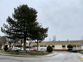 20210203actualizaciondatosbrotecentroinfantas