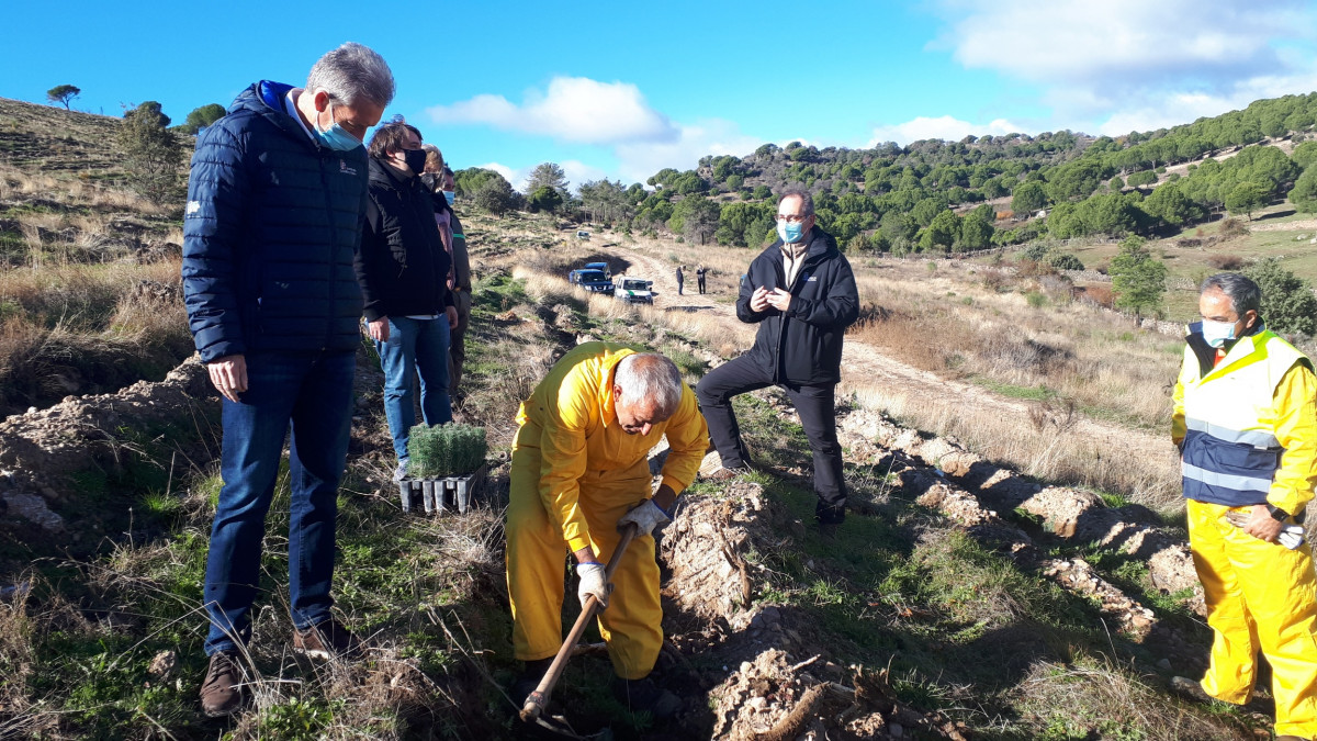 Cercamiento y plantaciu00f3n en El Hoyo de Pinares