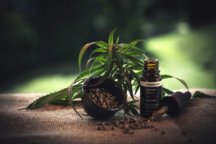 Cbd ol 4473886 1280