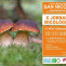 MedioAmbienteJornadasMicologicasCartel23