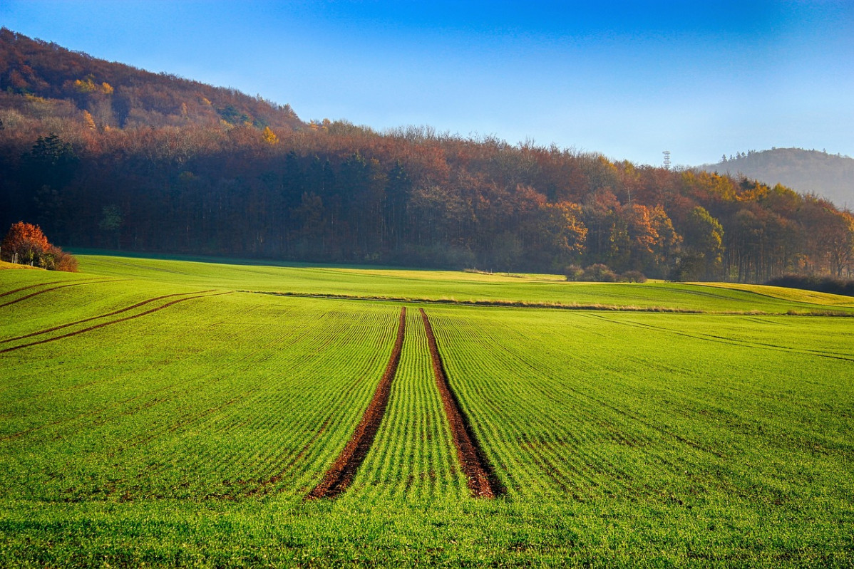 Field 2787295 1280