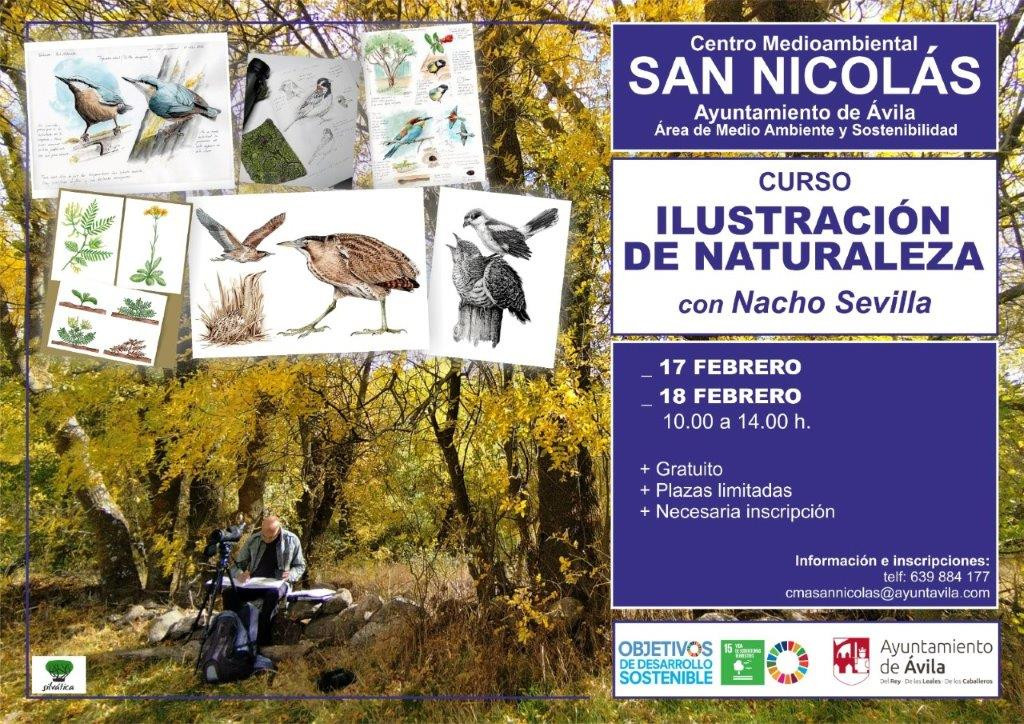 MedioAmbienteCursoIlustracionNaturalezaCartel0224