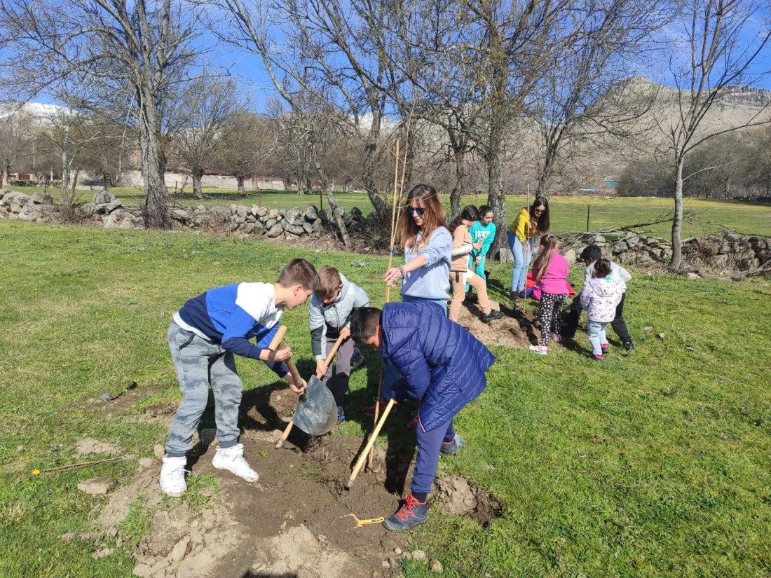 20240314dia del arbol