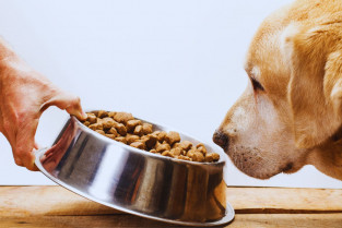 Pienso perro natural greatness   IP (1)