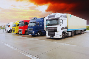 Logistica alimentos terrestre   IP